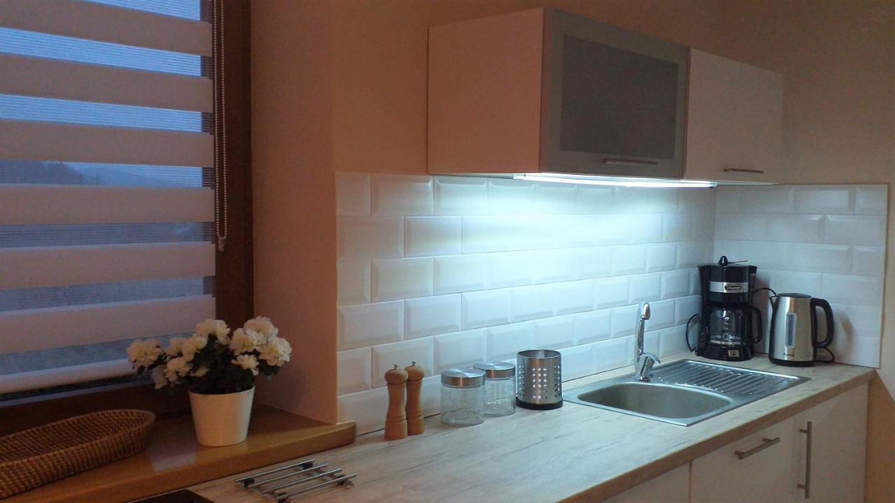 Przytulne Studio Borowkowy Zagajnik Piechowice  Exteriér fotografie