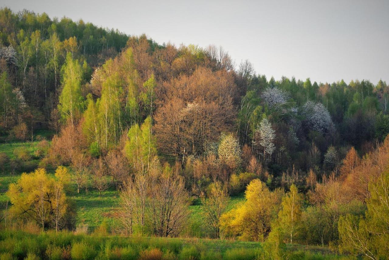 Przytulne Studio Borowkowy Zagajnik Piechowice  Exteriér fotografie