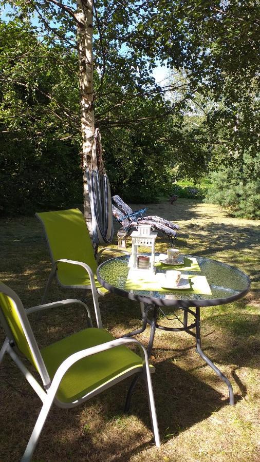 Przytulne Studio Borowkowy Zagajnik Piechowice  Exteriér fotografie