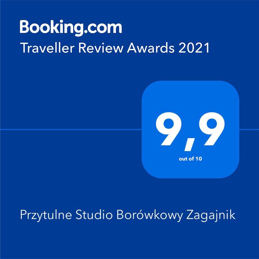 Przytulne Studio Borowkowy Zagajnik Piechowice  Exteriér fotografie